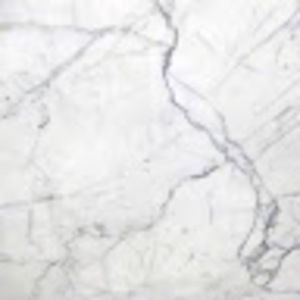 Meet your Posher, Audrey